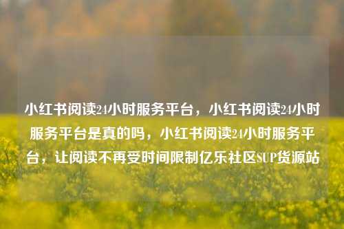 小红书阅读24小时服务平台，小红书阅读24小时服务平台是真的吗	，小红书阅读24小时服务平台，让阅读不再受时间限制亿乐社区SUP货源站  第1张