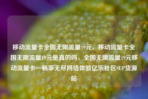 移动流量卡全国无限流量19元，移动流量卡全国无限流量19元是真的吗	，全国无限流量19元移动流量卡—畅享无尽网络体验亿乐社区SUP货源站  第1张