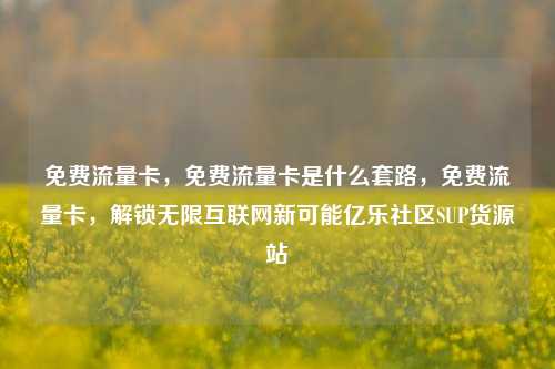 免费流量卡，免费流量卡是什么套路，免费流量卡	，解锁无限互联网新可能亿乐社区SUP货源站  第1张