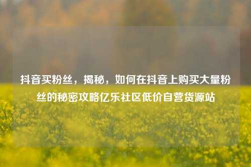 抖音买粉丝，揭秘，如何在抖音上购买大量粉丝的秘密攻略亿乐社区低价自营货源站  第1张