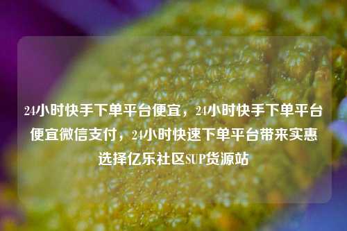 24小时快手下单平台便宜，24小时快手下单平台便宜微信支付	，24小时快速下单平台带来实惠选择亿乐社区SUP货源站  第1张