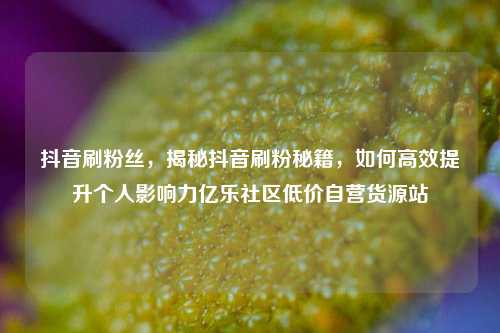 抖音刷粉丝，揭秘抖音刷粉秘籍，如何高效提升个人影响力亿乐社区低价自营货源站  第1张