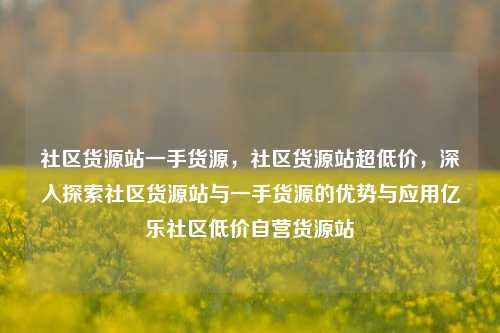 社区货源站一手货源，社区货源站超低价	，深入探索社区货源站与一手货源的优势与应用亿乐社区低价自营货源站  第1张