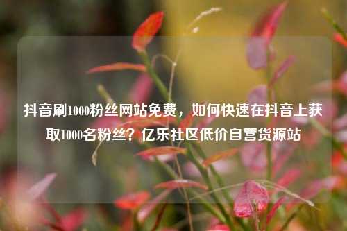 抖音刷1000粉丝网站免费，如何快速在抖音上获取1000名粉丝？亿乐社区低价自营货源站  第1张