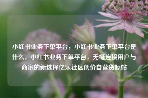 小红书业务下单平台，小红书业务下单平台是什么，小红书业务下单平台	，无缝连接用户与商家的新选择亿乐社区低价自营货源站  第1张