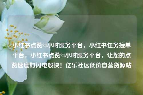 小红书点赞24小时服务平台	，小红书任务接单平台，小红书点赞24小时服务平台，让您的点赞速度如闪电般快！亿乐社区低价自营货源站  第1张