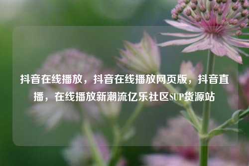 抖音在线播放，抖音在线播放网页版	，抖音直播，在线播放新潮流亿乐社区SUP货源站  第1张