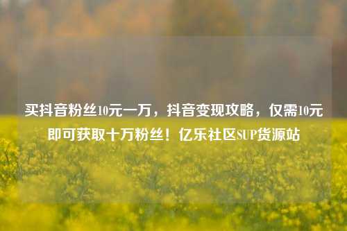 买抖音粉丝10元一万	，抖音变现攻略，仅需10元即可获取十万粉丝！亿乐社区SUP货源站  第1张