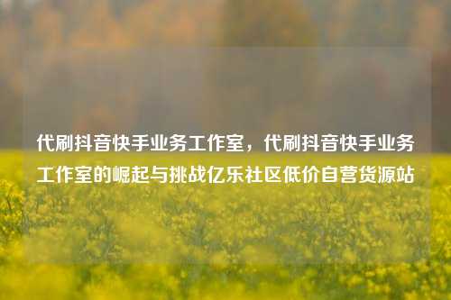 代刷抖音快手业务工作室，代刷抖音快手业务工作室的崛起与挑战亿乐社区低价自营货源站  第1张