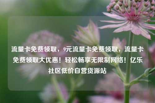 流量卡免费领取，9元流量卡免费领取	，流量卡免费领取大优惠！轻松畅享无限制网络！亿乐社区低价自营货源站  第1张