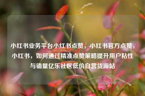 小红书业务平台小红书点赞，小红书官方点赞	，小红书，如何通过精准点赞策略提升用户粘性与销量亿乐社区低价自营货源站  第1张