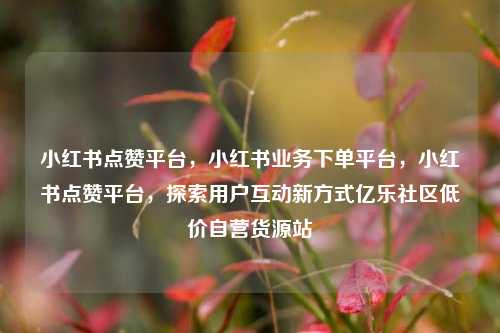小红书点赞平台，小红书业务下单平台	，小红书点赞平台，探索用户互动新方式亿乐社区低价自营货源站  第1张