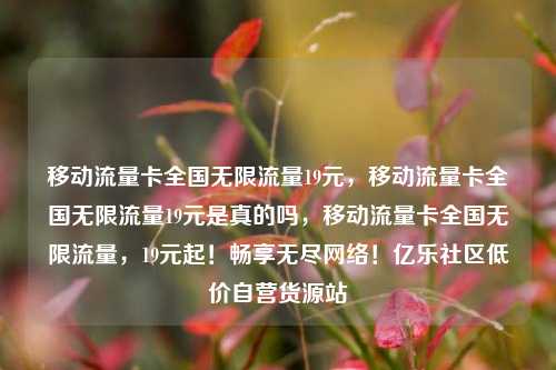移动流量卡全国无限流量19元，移动流量卡全国无限流量19元是真的吗，移动流量卡全国无限流量，19元起！畅享无尽网络！亿乐社区低价自营货源站  第1张