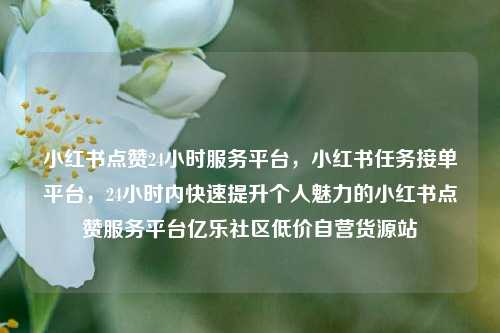 小红书点赞24小时服务平台，小红书任务接单平台	，24小时内快速提升个人魅力的小红书点赞服务平台亿乐社区低价自营货源站  第1张
