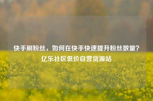 快手刷粉丝	，如何在快手快速提升粉丝数量？亿乐社区低价自营货源站  第1张