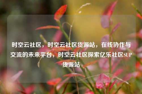时空云社区，时空云社区货源站，在线协作与交流的未来平台	，时空云社区探索亿乐社区SUP货源站  第1张