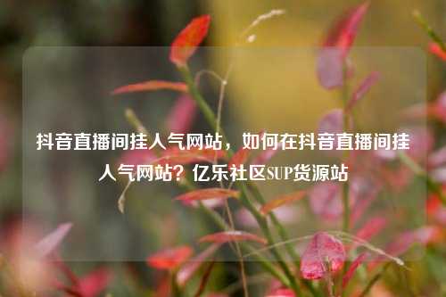 抖音直播间挂人气网站，如何在抖音直播间挂人气网站？亿乐社区SUP货源站  第1张