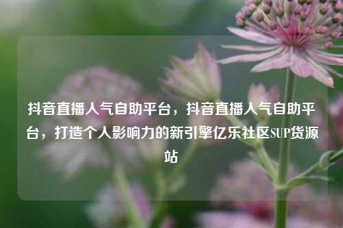 抖音直播人气自助平台，抖音直播人气自助平台，打造个人影响力的新引擎亿乐社区SUP货源站  第1张