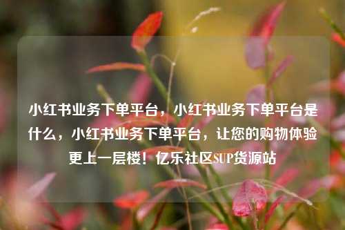 小红书业务下单平台	，小红书业务下单平台是什么，小红书业务下单平台，让您的购物体验更上一层楼！亿乐社区SUP货源站  第1张