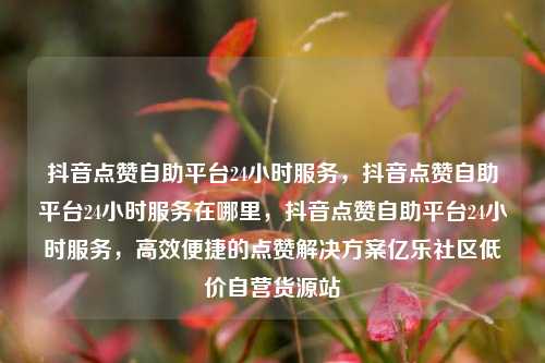 抖音点赞自助平台24小时服务，抖音点赞自助平台24小时服务在哪里	，抖音点赞自助平台24小时服务，高效便捷的点赞解决方案亿乐社区低价自营货源站  第1张