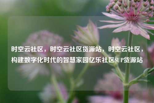 时空云社区，时空云社区货源站	，时空云社区，构建数字化时代的智慧家园亿乐社区SUP货源站  第1张