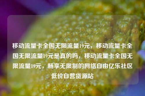 移动流量卡全国无限流量19元，移动流量卡全国无限流量19元是真的吗	，移动流量卡全国无限流量19元，畅享无限制的网络自由亿乐社区低价自营货源站  第1张