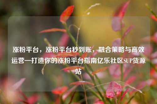 涨粉平台	，涨粉平台秒到账，融合策略与高效运营—打造你的涨粉平台指南亿乐社区SUP货源站  第1张