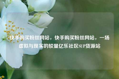 快手购买粉丝网站	，快手购买粉丝网站，一场虚拟与现实的较量亿乐社区SUP货源站  第1张
