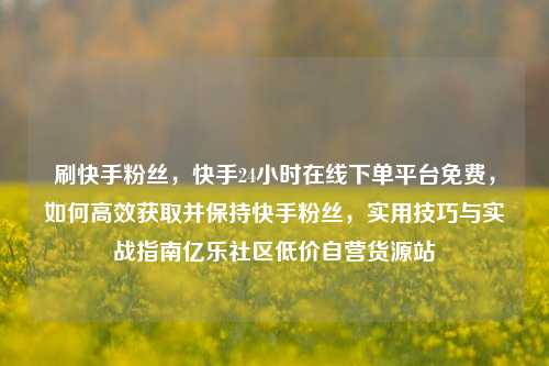 刷快手粉丝，快手24小时在线下单平台免费	，如何高效获取并保持快手粉丝，实用技巧与实战指南亿乐社区低价自营货源站  第1张