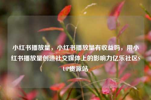 小红书播放量，小红书播放量有收益吗，用小红书播放量创造社交媒体上的影响力亿乐社区SUP货源站  第1张