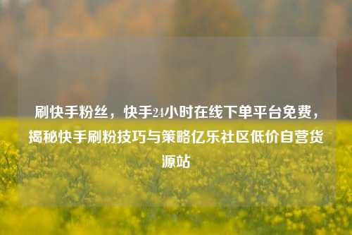 刷快手粉丝，快手24小时在线下单平台免费	，揭秘快手刷粉技巧与策略亿乐社区低价自营货源站  第1张