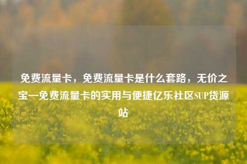 免费流量卡，免费流量卡是什么套路，无价之宝—免费流量卡的实用与便捷亿乐社区SUP货源站  第1张