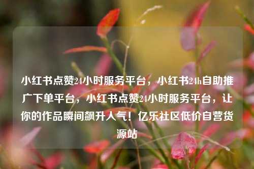 小红书点赞24小时服务平台	，小红书24h自助推广下单平台，小红书点赞24小时服务平台，让你的作品瞬间飙升人气！亿乐社区低价自营货源站  第1张