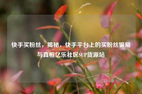快手买粉丝	，揭秘，快手平台上的买粉丝骗局与真相亿乐社区SUP货源站  第1张