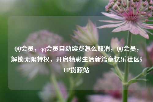 QQ会员	，qq会员自动续费怎么取消，QQ会员，解锁无限特权，开启精彩生活新篇章亿乐社区SUP货源站  第1张