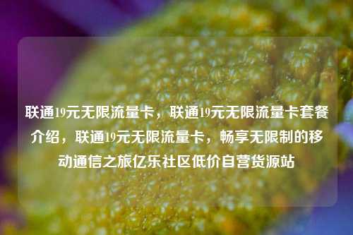 联通19元无限流量卡	，联通19元无限流量卡套餐介绍，联通19元无限流量卡，畅享无限制的移动通信之旅亿乐社区低价自营货源站  第1张