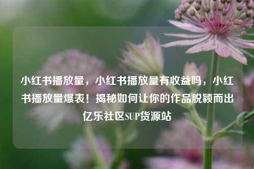 小红书播放量	，小红书播放量有收益吗，小红书播放量爆表！揭秘如何让你的作品脱颖而出亿乐社区SUP货源站  第1张