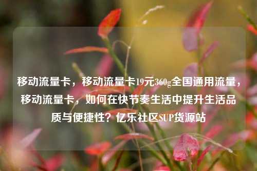 移动流量卡，移动流量卡19元360g全国通用流量，移动流量卡，如何在快节奏生活中提升生活品质与便捷性？亿乐社区SUP货源站  第1张