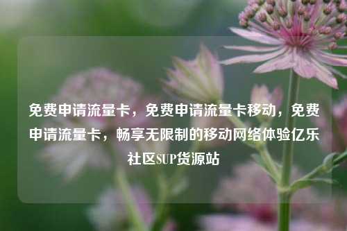 免费申请流量卡	，免费申请流量卡移动，免费申请流量卡，畅享无限制的移动网络体验亿乐社区SUP货源站  第1张