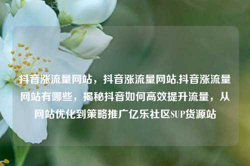 抖音涨流量网站，抖音涨流量网站,抖音涨流量网站有哪些	，揭秘抖音如何高效提升流量，从网站优化到策略推广亿乐社区SUP货源站  第1张