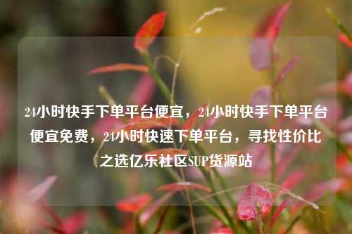 24小时快手下单平台便宜	，24小时快手下单平台便宜免费，24小时快速下单平台，寻找性价比之选亿乐社区SUP货源站  第1张