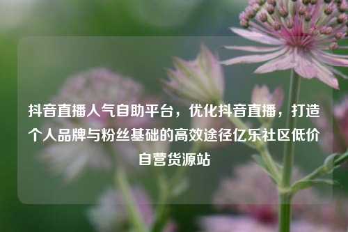 抖音直播人气自助平台，优化抖音直播	，打造个人品牌与粉丝基础的高效途径亿乐社区低价自营货源站  第1张