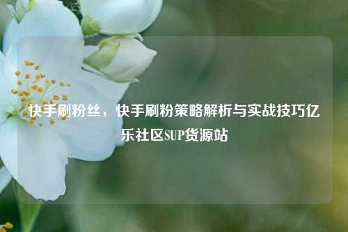 快手刷粉丝，快手刷粉策略解析与实战技巧亿乐社区SUP货源站  第1张