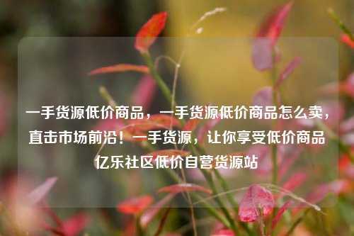 一手货源低价商品，一手货源低价商品怎么卖	，直击市场前沿！一手货源，让你享受低价商品亿乐社区低价自营货源站  第1张
