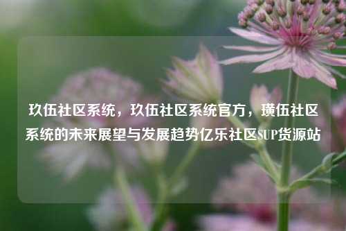 玖伍社区系统，玖伍社区系统官方，璜伍社区系统的未来展望与发展趋势亿乐社区SUP货源站  第1张