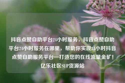 抖音点赞自助平台24小时服务	，抖音点赞自助平台24小时服务在哪里，帮助你实现24小时抖音点赞自助服务平台—打造您的在线流量金矿！亿乐社区SUP货源站  第1张