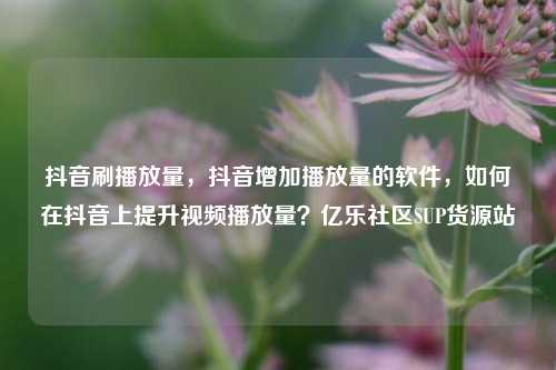 抖音刷播放量，抖音增加播放量的软件	，如何在抖音上提升视频播放量？亿乐社区SUP货源站  第1张