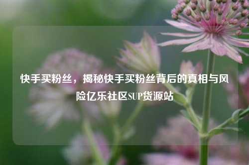 快手买粉丝	，揭秘快手买粉丝背后的真相与风险亿乐社区SUP货源站  第1张