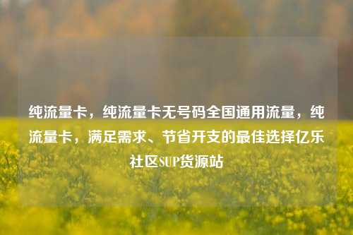 纯流量卡，纯流量卡无号码全国通用流量	，纯流量卡，满足需求、节省开支的最佳选择亿乐社区SUP货源站  第1张