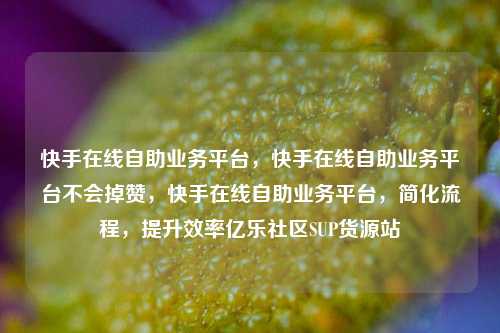 快手在线自助业务平台，快手在线自助业务平台不会掉赞，快手在线自助业务平台	，简化流程，提升效率亿乐社区SUP货源站  第1张